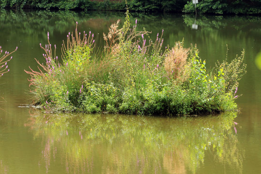 Bewachsene Insel im Marbachstausee
