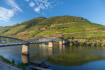 Fototapeta premium Vallée du Douro à Pinhão, Portugal