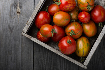 Fresh ripe tomatoes in a harvester on an old wooden table. Dark background.