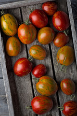 Fresh ripe tomatoes in a harvester on an old wooden table. Dark background.