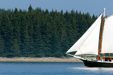 Sunlit Sails of Schooner Sailboat Passes Along Island Shore in Maine