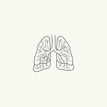 Outline (Lineart) Lungs Cartoon Vector for Template
