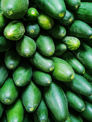 Ripe fresh cucumbers in the market close-up. The concept of harvest, sales of organic fruits, vitamin foods, healthy nutrition. Place for text.