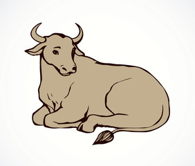 Vector contour illustration of lying cow with big horns