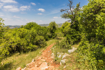 View from the Roe Deer Trail in The Ajloun Forest Reserve in Jordan © dadamira