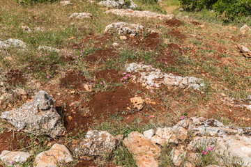View from the Roe Deer Trail in The Ajloun Forest Reserve in Jordan