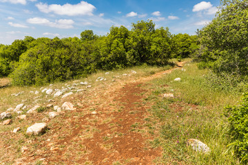 Fototapeta premium View from the Roe Deer Trail in The Ajloun Forest Reserve in Jordan