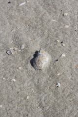 footprints in the sand