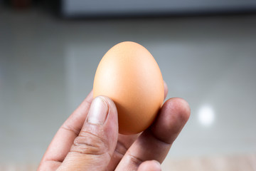 egg