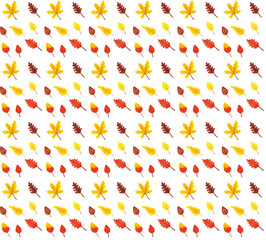 Seamless pattern from autumn leaves painted with watercolors on white background. Coloured bright leaves hand-painted, paint, texture, watercolor
