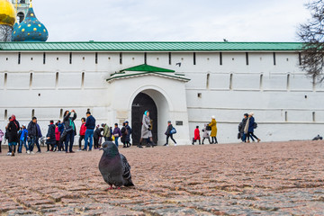 Fototapete bei efototapeten.de bestellen   