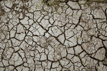 Drought soil background at dry season