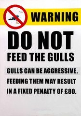 Do Not Feed The Gulls Sign at a Coastal Location