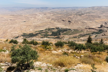 Mount Nebo, Jordan. The view from the summit provides a panorama of the land and, to the north, a more limited one of the valley of the River Jordan. 