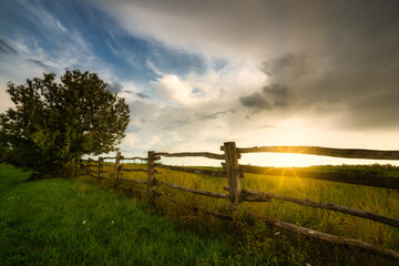 Fence on a sunny pasture - obrazy, fototapety, plakaty