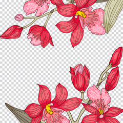 Tender orchid vector square template for social networks