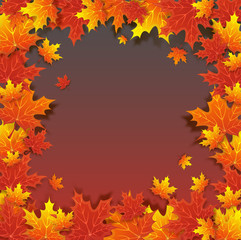 Naklejka na ściany i meble Vector Autumn natural background with orange maple leaves, fall bright landscape, banner, place for text