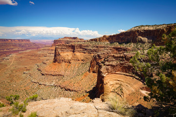 Side of a canyon at Canyonlands National Park in Utah during summer