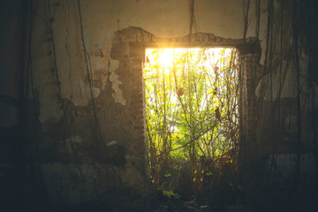 Sunlight entering through a broken doorway