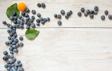 background with blueberries and apricots light tree texture. view from above