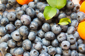 berries close-up blueberries and apricots top view
