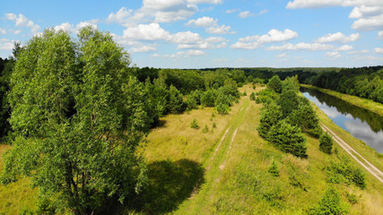 Aerial View Of A  Forest During Summer Season