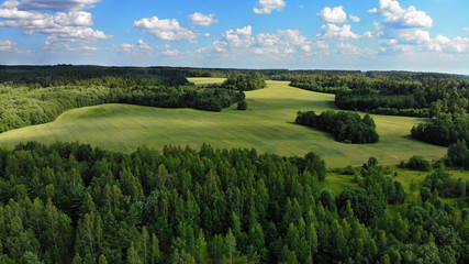 Fototapeta na wymiar Aerial View Of A Forest During Summer Season