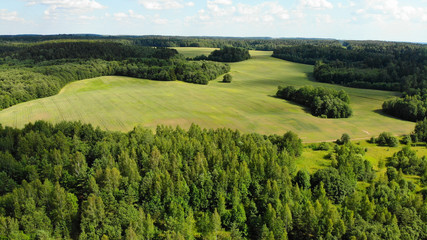 Aerial View Of A  Forest During Summer Season