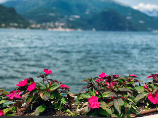 neighborhood Of Villa Melzi In Bellagio At The Famous Italian Lake Como, lake view