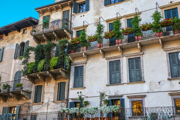 windows in the facades
