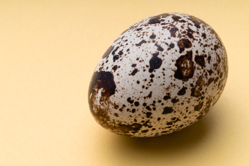 Fresh, farm, raw quail eggs on white background. Protein diet. Healthy diet..