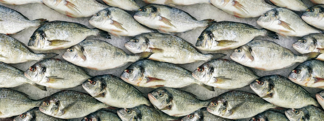 Fresh chilled fish in rows on ice in a store. Dietary useful ingredient for dinner, a showcase in a fish restaurant. Pattern background.