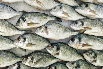 Fresh chilled fish in rows on ice in a store. Dietary useful ingredient for dinner, a showcase in a fish restaurant. Pattern background.