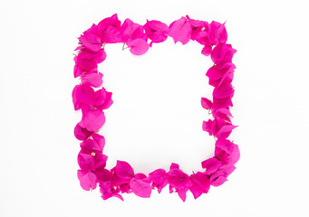 decorative frame from natural pink small flowers of bougainvillea