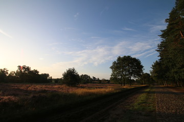 Schöne Wander- und Reitwege in der Lüneburger Heide