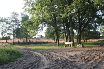 Schöne Wander- und Reitwege in der Lüneburger Heide