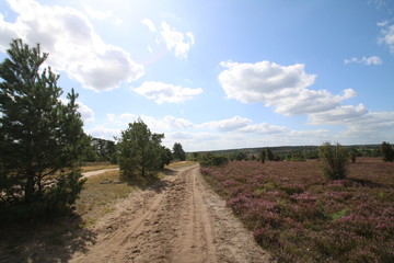Schöne Wander- und Reitwege in der Lüneburger Heide