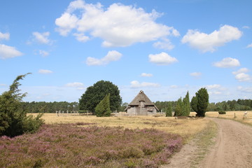 Schöner Schafstall in der Lüneburger Heide