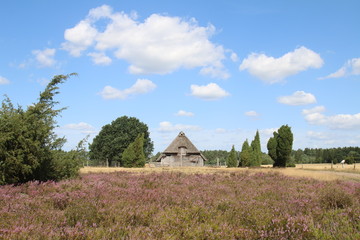Schöner Schafstall in der Lüneburger Heide
