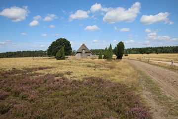 Schöner Schafstall in der Lüneburger Heide