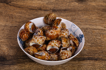 Tasty mollusk - spotted Babylon in the bowl