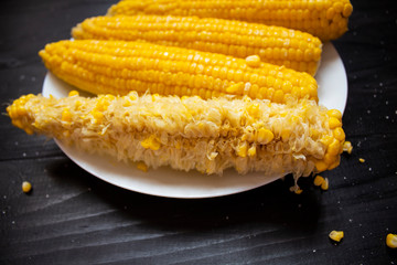 Grains of ripe corn. An ear of corn isolated. Corn on the cob, meal ripe juicy tasty corn. Photo of...