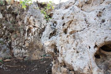 Granular limestone rock surface. Roe stone rock surface. Limestone crag texture. Roe-stone crag face. Limestone stone surface desktop pattern. Calcite crag idle screen. Calcspar reef desktop backdrop