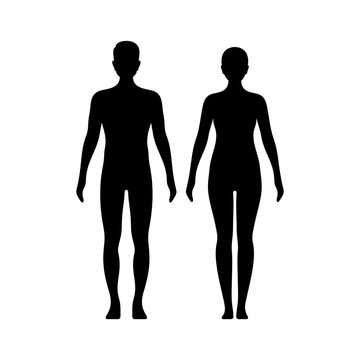 Male and female model figures vector illustration