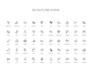 50 outline concept icons such as artichoke, banana, cauliflower, berries, onion, raspberry, orange,ginger, apple, grapes, peanut, tomato, lemon