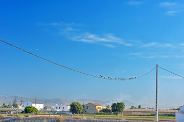 Alboraya,Valencia, Spain: 08.08.2019; The typical views of Spanish maritime village