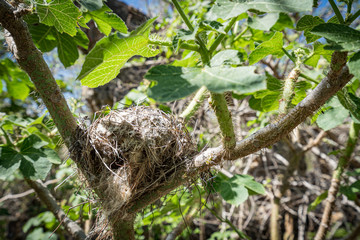 walking around Lagun , Curacao, Caribbean 