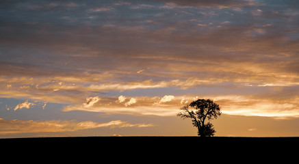 sunset Hohenlohe-Afrika