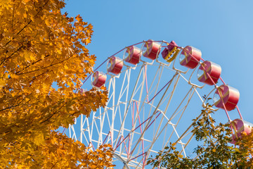 Minsk ferris wheel autumn