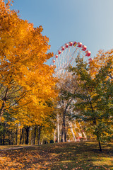 Fototapety na wymiar - Fototapeta24.pl